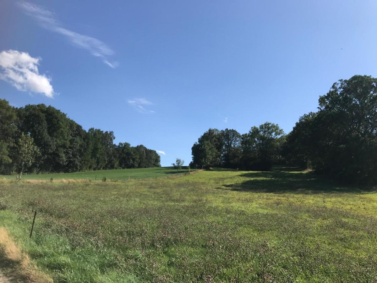 Landhotel Trakehnerhof Eppendorf  Eksteriør billede